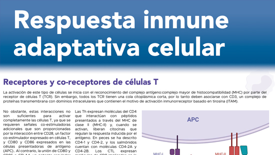 SIS#5 Respuesta Inmune Adaptativa Celular