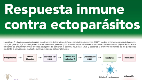 SIS#8 Respuesta Inmune Contra Ectoparásitos