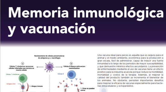 SIS#10 Memoria Inmunológica y Vacunación